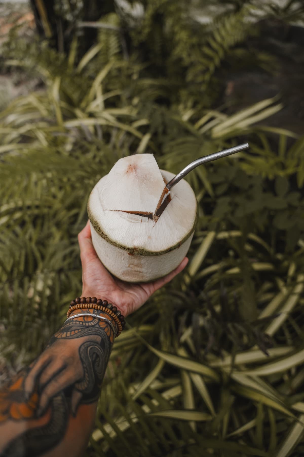 Tattooed hand holding a fresh coconut with metal straw