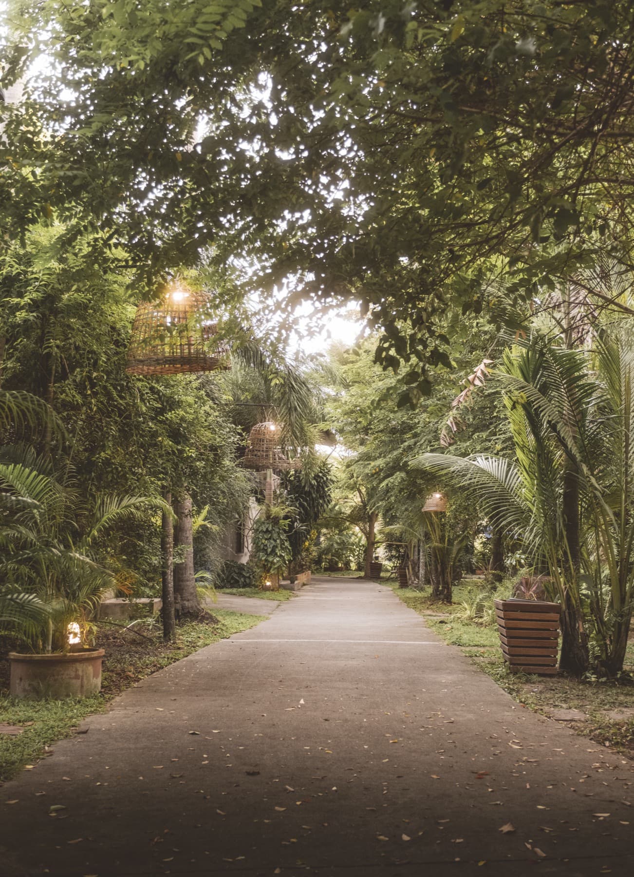 Lush garden path with hanging lanterns at Wonderland Healing Center